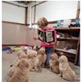 funny dog 5