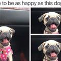 A Aspire To Be This Happy
