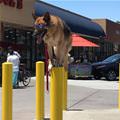 A Balancing Act