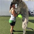 A Big Kiss