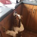 A Bite Please