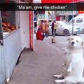 A Chicken Please