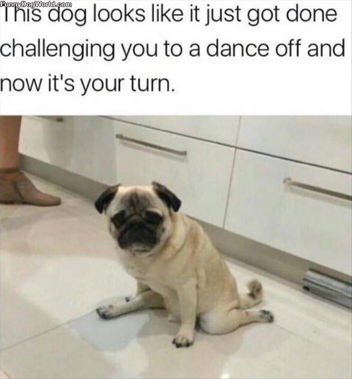 A Dance Off