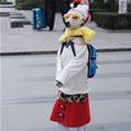 A Day Out