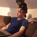 A Dog Hat