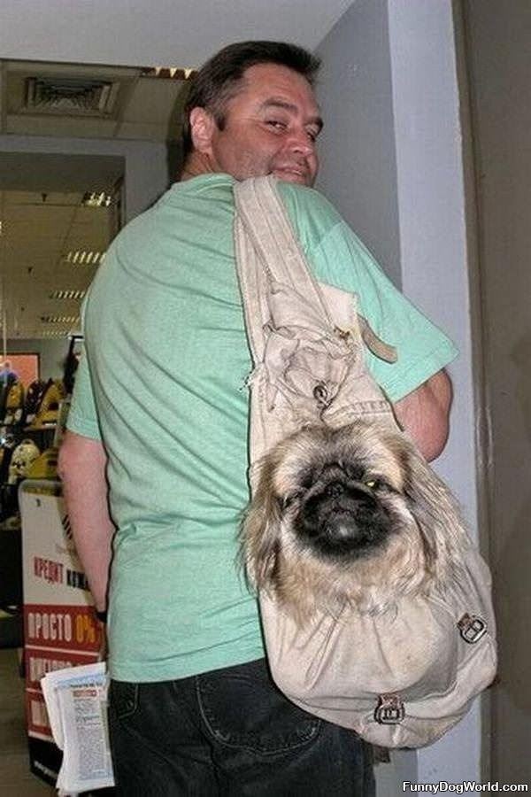A Doggie Bag