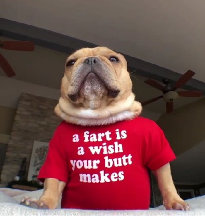 A Fart Is