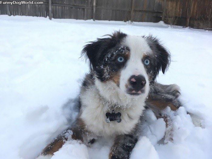 A Fun Day In The Snow