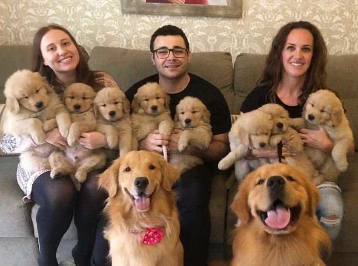 A Huge Dog Family