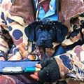 funny dog 5