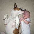 A Kiss On The Head