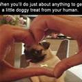 A Little Doggy Treat