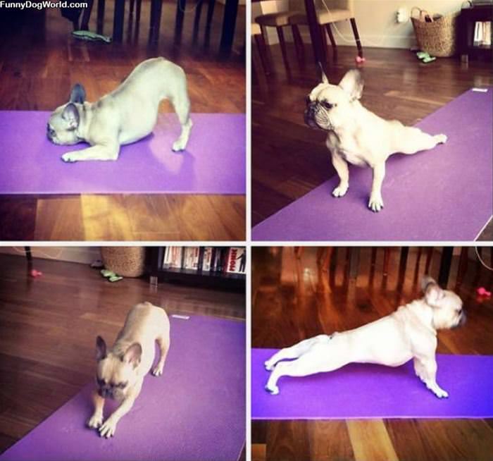 A Little Yoga