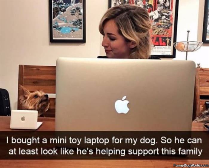 A Mini Toy Laptop