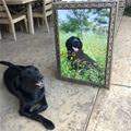 A Nice Painting
