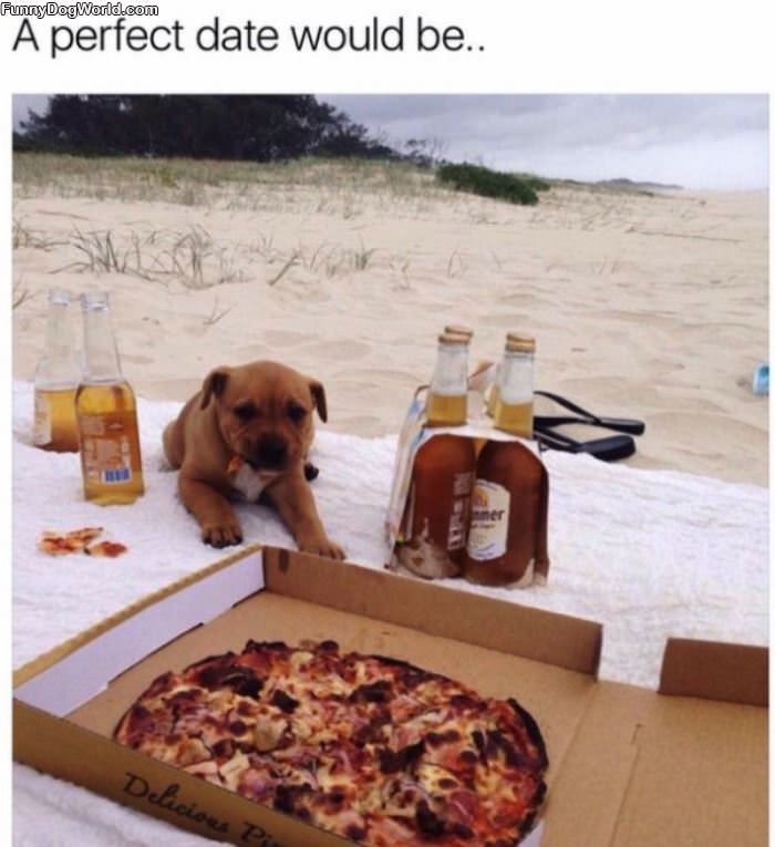 A Perfect Date