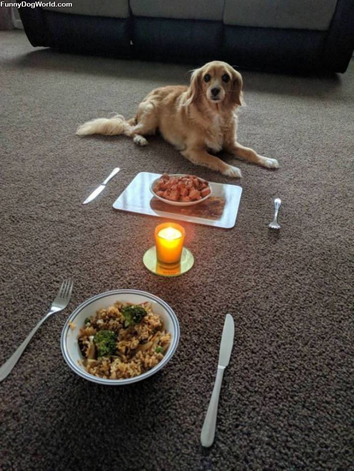 A Romantic Dinner