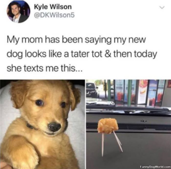 A Tater Tot