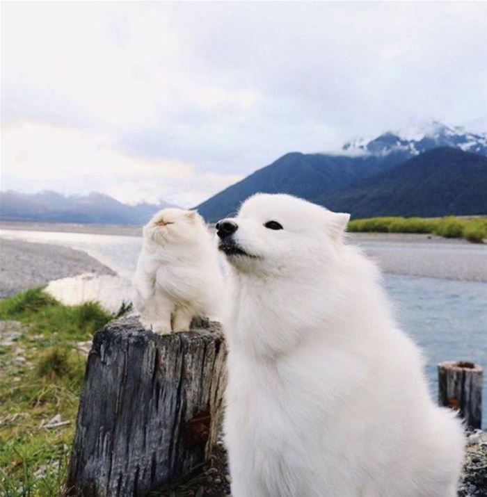 A Windy Day