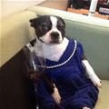 All Dressed Up For A Nice Night