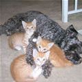 All Keeping Warm