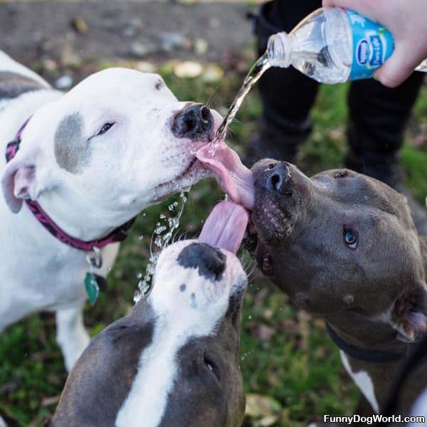 All Of Us Have A Drink