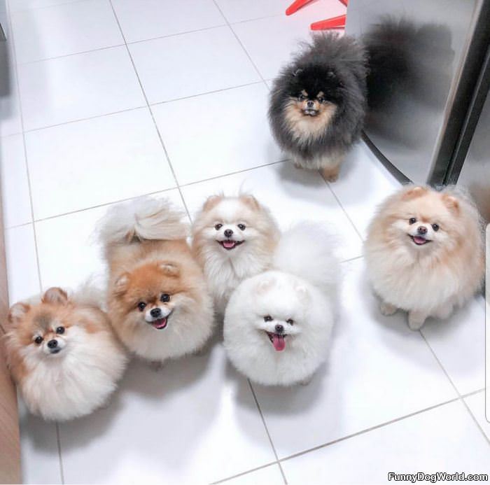 All Of Us Want Snacks