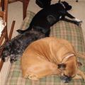 All Sharing