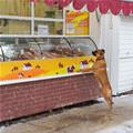 Any Meat Please