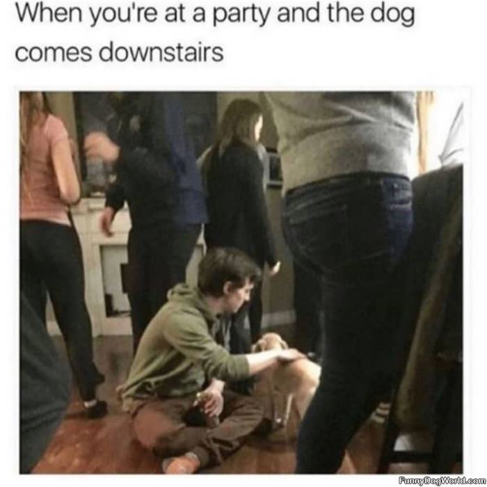 At A Party