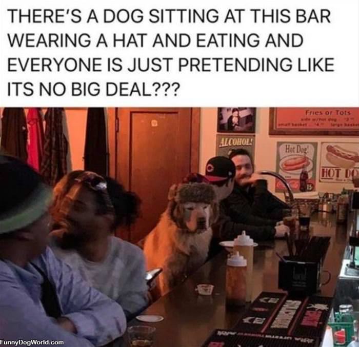 At The Bar