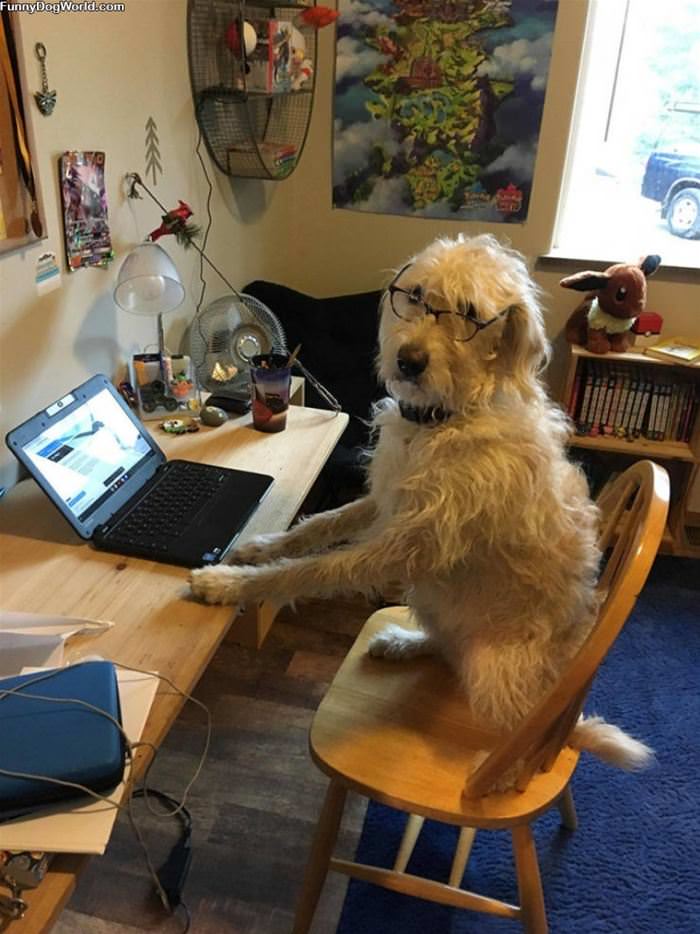 At The Desk