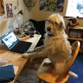 At The Desk