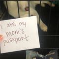 Ate Her Passport