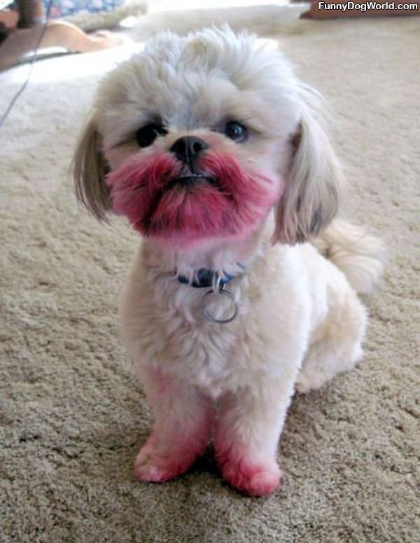 Ate The Lipstick