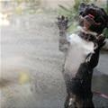Attacking The Water