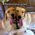 Awesome Relationship Goals