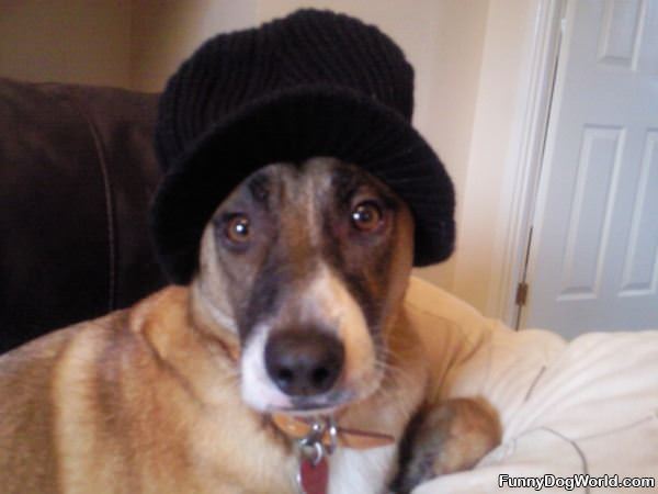 Barney In A Nice Warm Hat