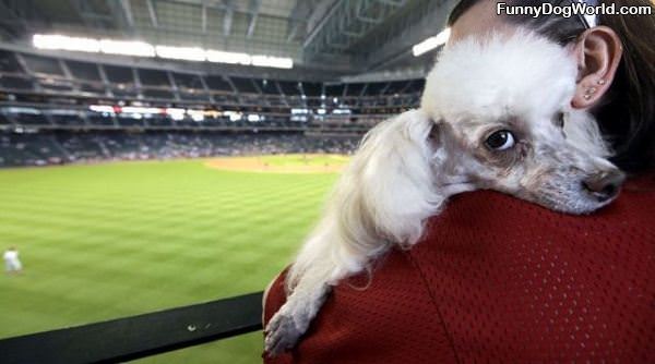 Baseball Game