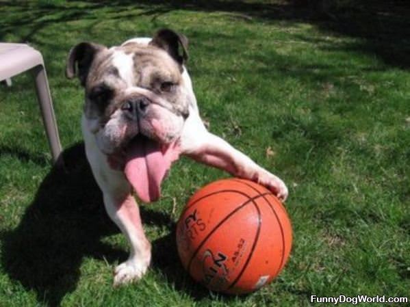 Basketball Time