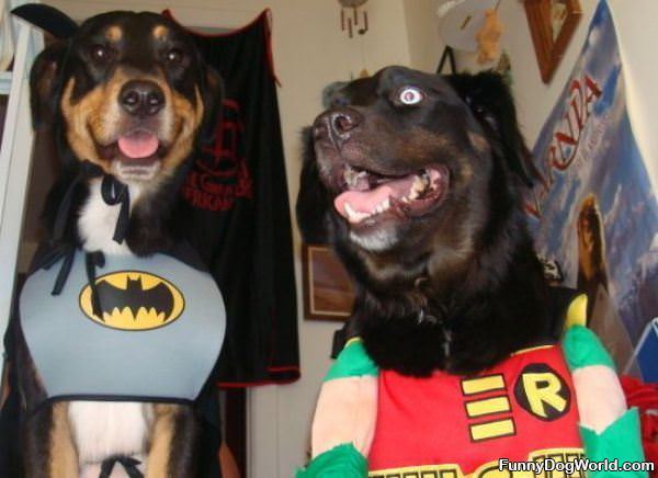 Batman And Robin