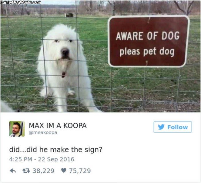 Be Aware Of The Dog