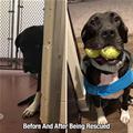 Before And After