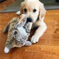 Being A Good Boy