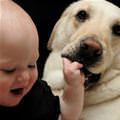 Best Friend