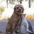 Bestest Friends