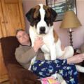 Big Boy