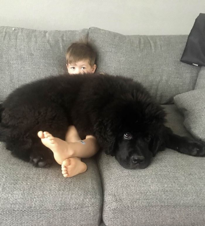 Big Fluffy Blanket