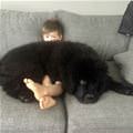 Big Fluffy Blanket