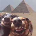 Big Time Selfie